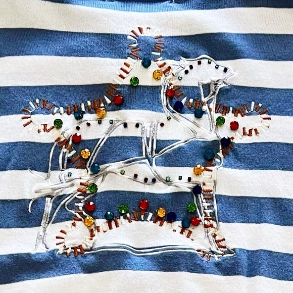 NEW Blue b White Stripe Multicolor Rhinestone Embroidered Rodeo Horse Sweater - Picture 4 of 5